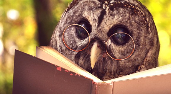 Citati i aforizmi autorskog dvojca&nbsp;Talidari