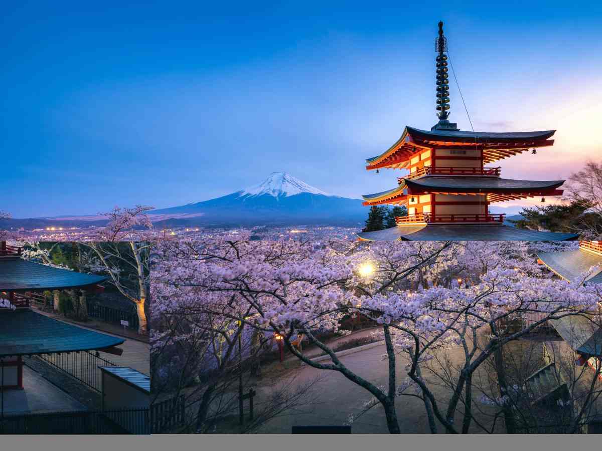 Odlomak iz romana “Čarobno&nbsp;drvo”