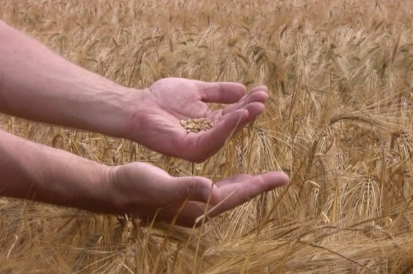 Što je čovek jači, to je&nbsp;skromniji